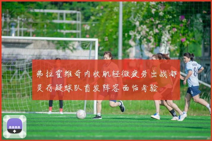 弗拉霍维奇内收肌轻微疲劳出战都灵存疑球队首发阵容面临考验
