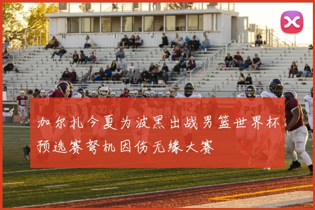 加尔扎今夏为波黑出战男篮世界杯预选赛弩机因伤无缘大赛