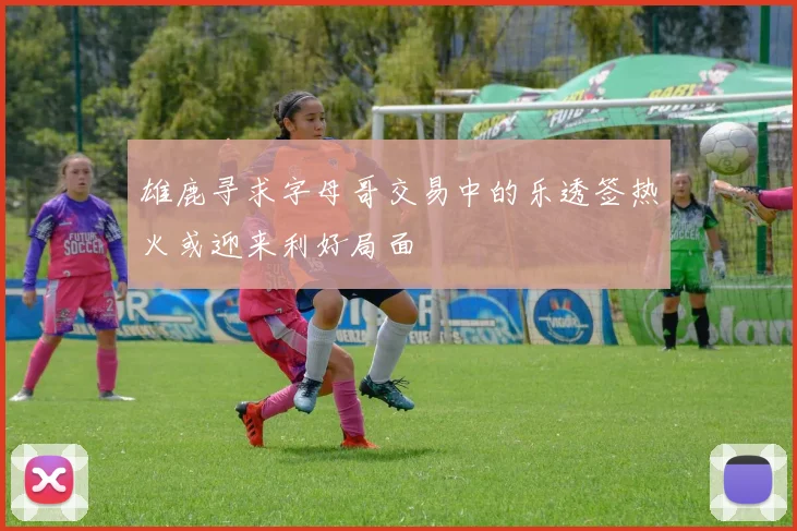 雄鹿寻求字母哥交易中的乐透签热火或迎来利好局面